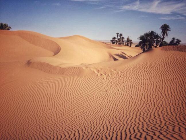 16807147_10154490964997956_7373202451744136618_n